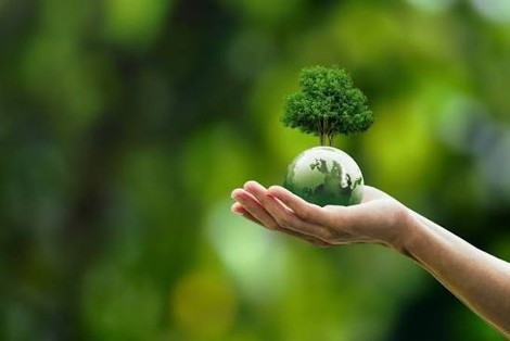 Painel de Políticas e Legislação Ambiental