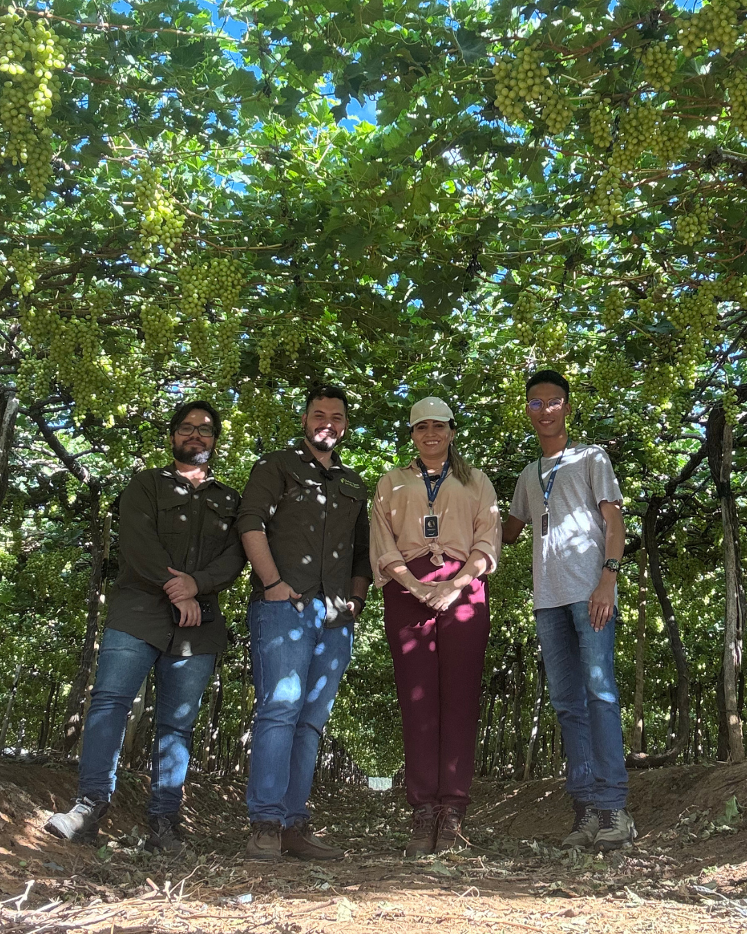 Fazenda Shirakawa Agrícola 