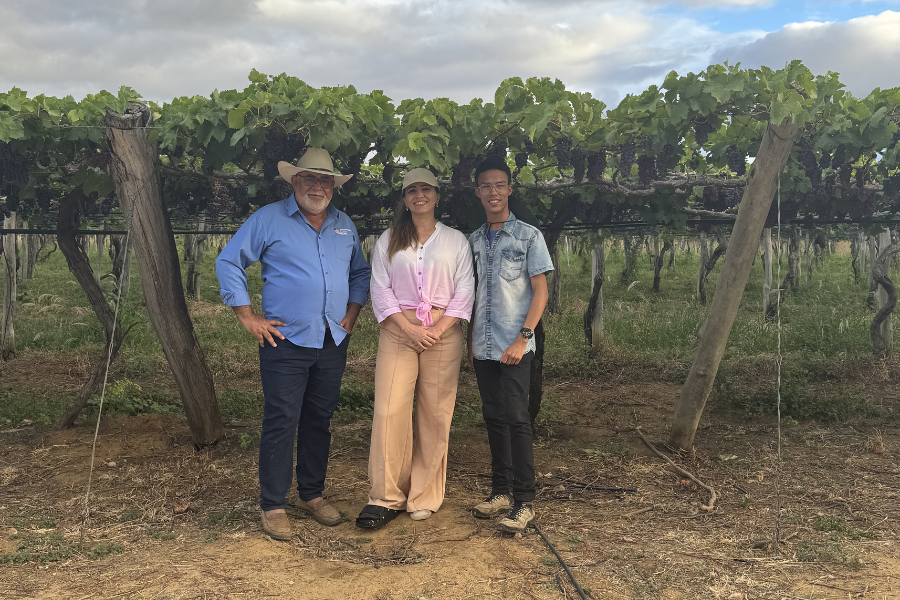 Fazenda Agropecuária Santa Isabel