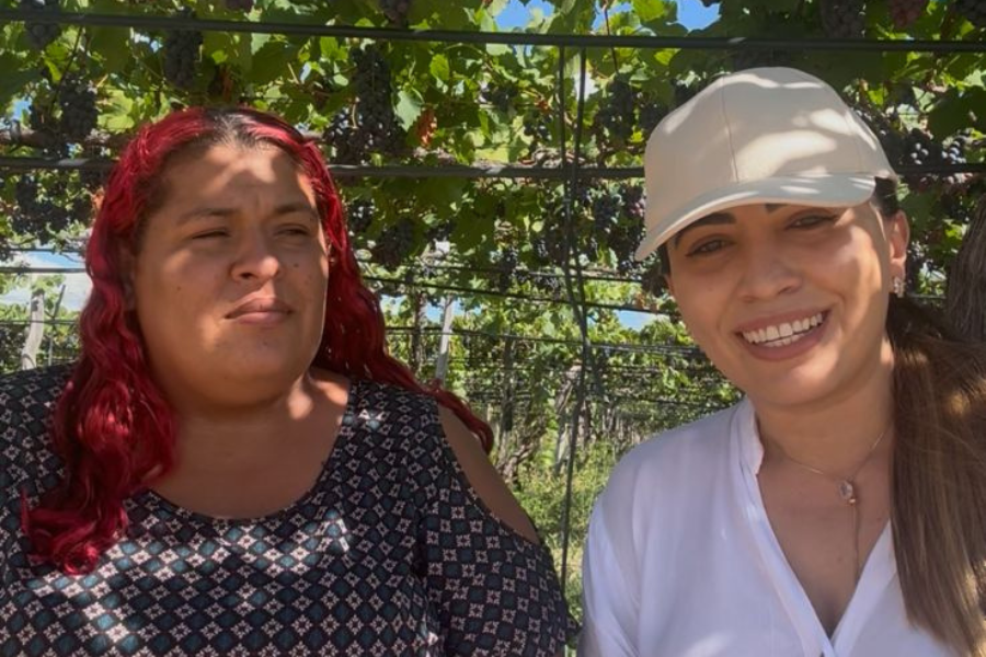 Fazenda Agropecuária Santa Isabel